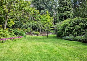 Optimiser l'expérience du jardin à Chateauneuf-du-Pape